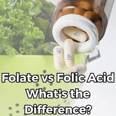 Image result for Folate Folic Acid