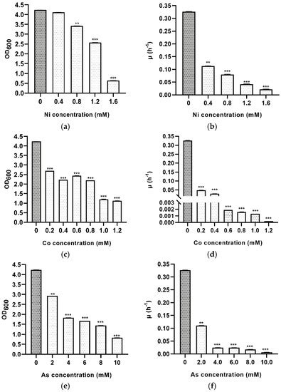Microorganisms | Special Issue : Halophilic Microorganisms