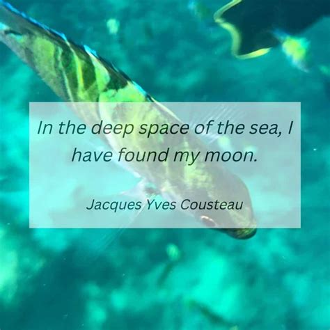 261 Wonderful Captions For Scuba Diving (5 Unique Categories!)