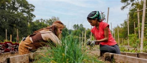 Sustainable Urban Agriculture Certificate Program, VSU College of ...