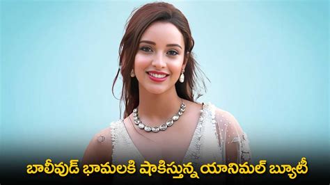 Tripti Dimri : బాలీవుడ్ భామలకి షాకిస్తున్న యానిమల్ బ్యూటీ | Bollywood ...