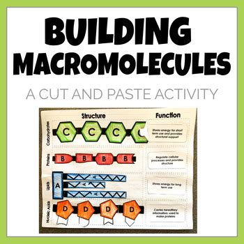 Image result for Macromolecules Building Blocks