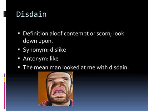 PPT - MEANDER PowerPoint Presentation, free download - ID:2869885