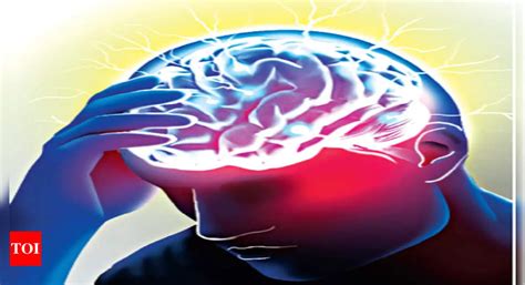 Gaya Admin Gears Up To Tackle Je & Aes Cases | Patna News - Times of India