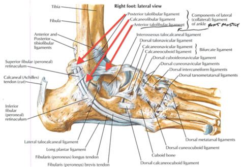 Hip Hop Dance Tutorial 的图像结果