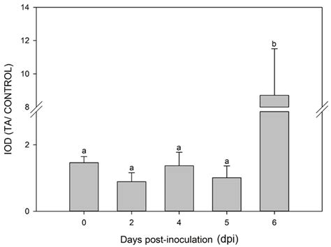 G-Quadruplex Structures as Epigenetic Regulatory Elements in Priming of ...