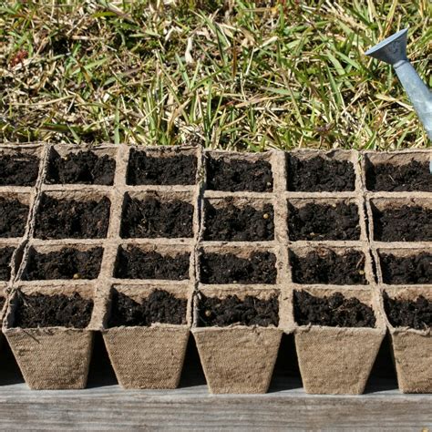 Processing of Arrays in Problem Solving 的图像结果