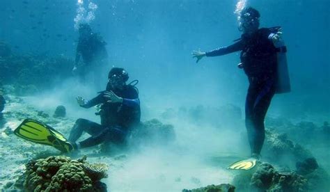 Snorkelling In Singapore 2025: A Guide For 4 Best Spots, Courses & More