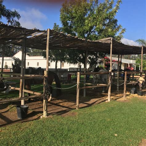 CAPE WINELANDS RIDING (Simondium) - Specialty Inn Reviews & Photos ...