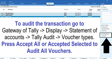 TDL Source Code of Lock Audited Vouchers & Show Audited Status in ...