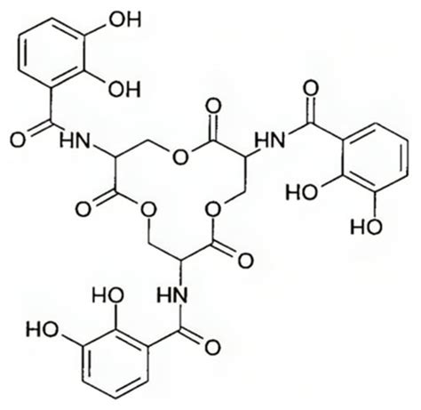 General Overview of Klebsiella pneumonia: Epidemiology and the Role of ...