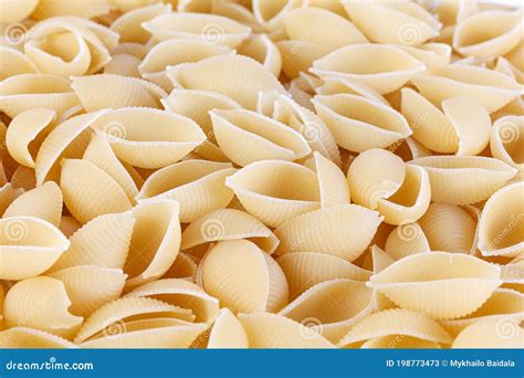 Image result for Types of Pasta Shells