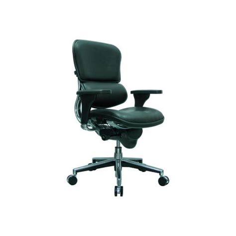 Raynor Marketing Eurotech Ergohuman Mid Back Chair - LE10ERGLO(N ...