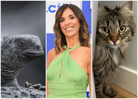 Un'iguana clandestina sul volo Roma-Catania: la scopre Luna, la gatta di Emma D'Aquino