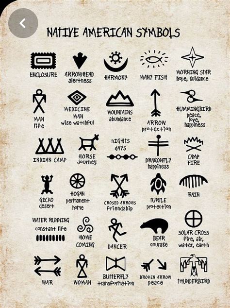 Image result for Native Cherokee