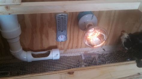 Image result for What Is Panel Brooder