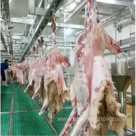 Image result for Sheep Slaughter Process