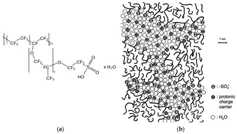 Characterization of MK-40 Membrane Modified by Layers of Cation ...