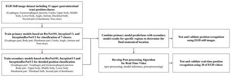 Deep Learning Models for Anatomical Location Classification in ...
