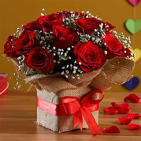 Rose Day Gifts Ideas 2023: 5 Cute Gift Ideas To Surprise Your Partner ...