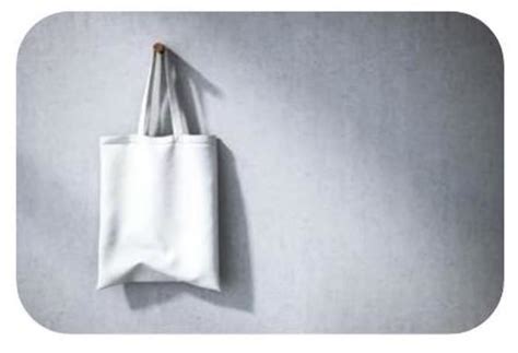 Prepositions: Types, Examples, and Usage