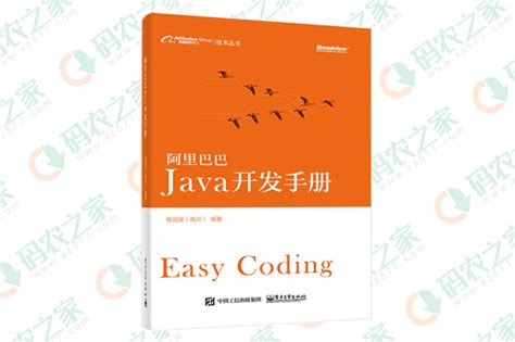 阿里巴巴Java开发手册 PDF 彩色影印版下载-Java开发电子书-码农之家