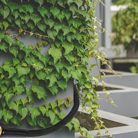 Boersite Garden Hose Extension Flexible Hose Adapter | Ubuy India