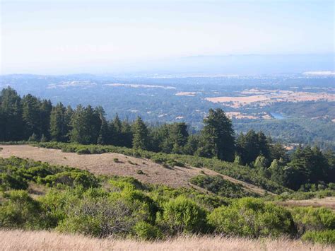 Windy Hill Open Space Preserve