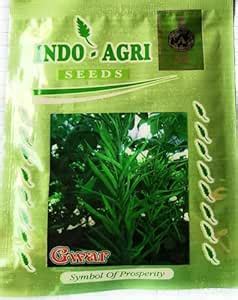 HYBRID GUAR SEEDS HIGHEST YIELDING VARIETY : Amazon.in: Garden & Outdoors