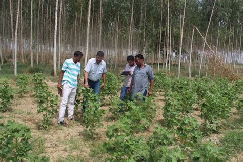 GADVASU - Guru Angad Dev Veterinary And Animal Sciences University