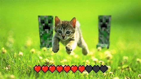 Minecraft Meme Compilation 的图像结果