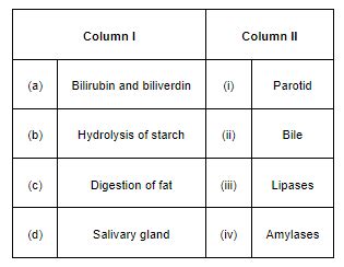 NCERT Solutions for Class 11 Biology chapter 16 Digestion and ...