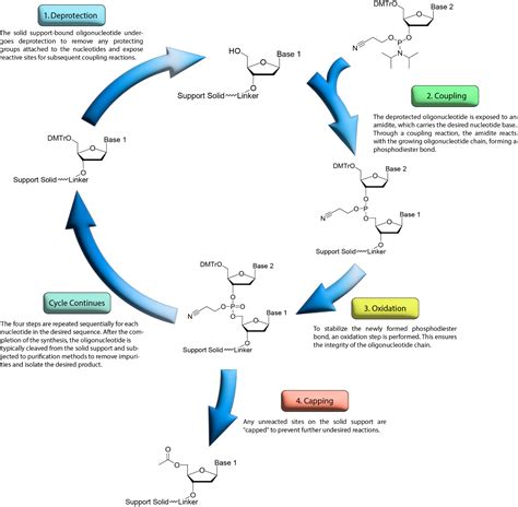 Oligonucleotide Synthesis