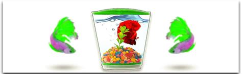 Single Betta Fish Tank kit for Aquarium - (Stylish Portable Table ...
