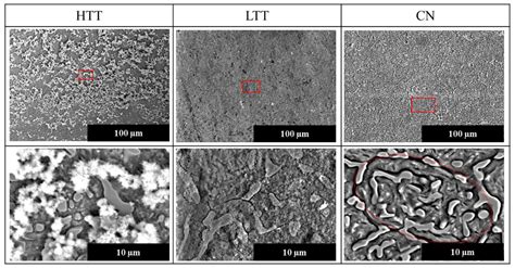 Corrosion Initiation and Propagation on Carburized Martensitic ...