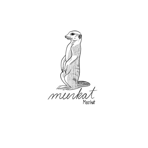 How to draw meerkats step by step drawing guide by makangeni – Artofit