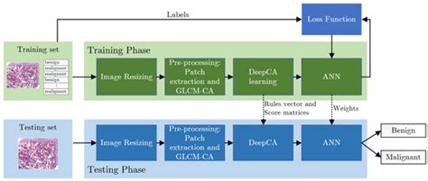 Applied Sciences | Special Issue : Advances in Deep Learning-Based ...