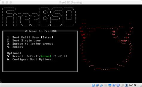 FreeBSD Tutorial Video 的图像结果