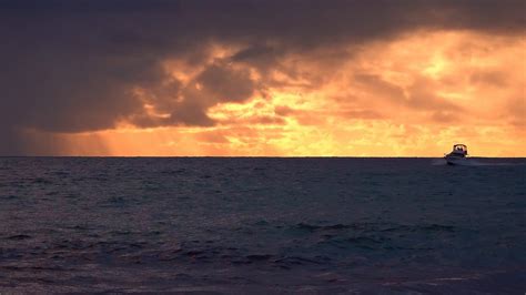 Sea Boat 的图像结果