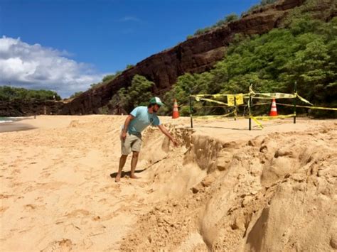 Hawksbill Turtle Rescue | FWS.gov