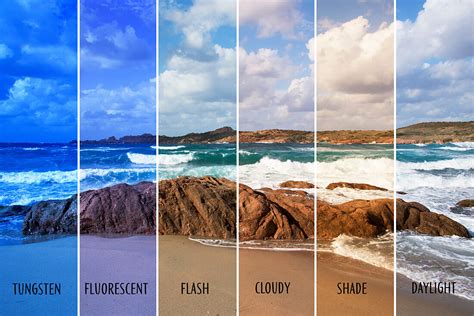 Image result for Natural Light Tutorial