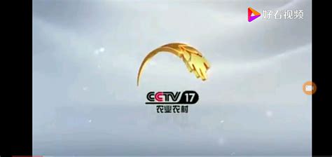 CCTV-17农业农村频道直播_CCTV节目官网_央视网