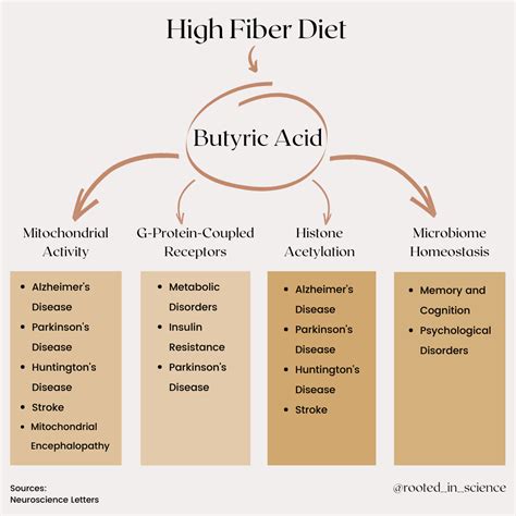 What Is Butyric Acid & Why Do I Need It?