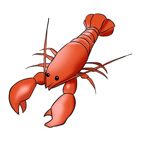 Image result for Simple Lobster Drawing