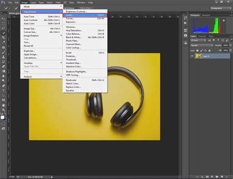 Image result for Paint Shop Pro Color Correction Tutorial