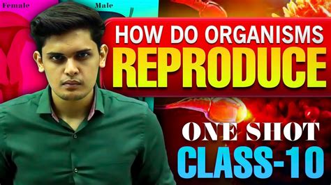 Image result for Reproduction Class 10 Videos