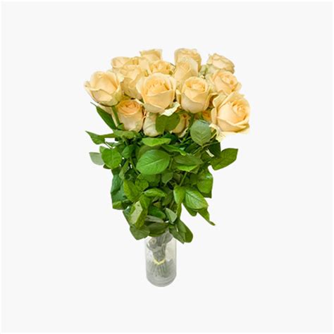 Peach Roses Bunch | IBBANI Flowers