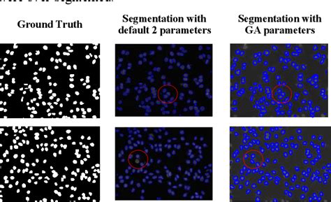 Image result for Genetic Algorithm Image Segmentation MATLAB