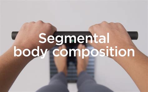 Image result for In Body Scan Scale