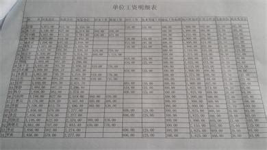 2015年11月份湘潭市社会福利院工作人员工资明细表 - 最新公告 - 湘潭市社会（儿童）福利院